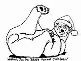 Polar Bear Coloring Pages Christmas Cartoon Getcolorings Printable sketch template