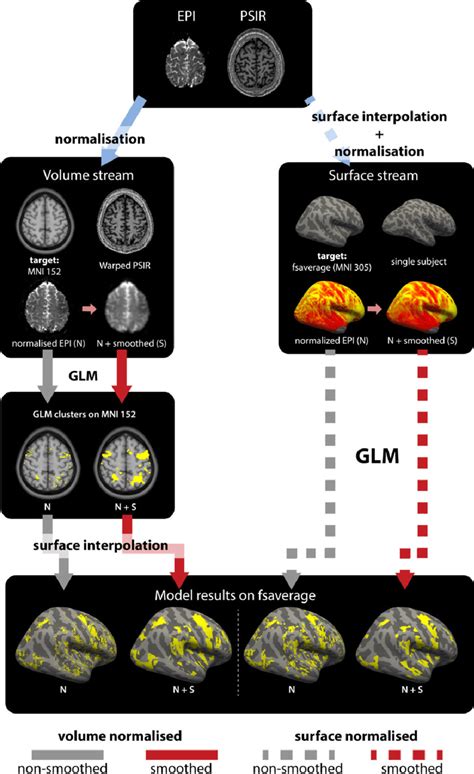 schematic showing  main processing pipelines  fmri data