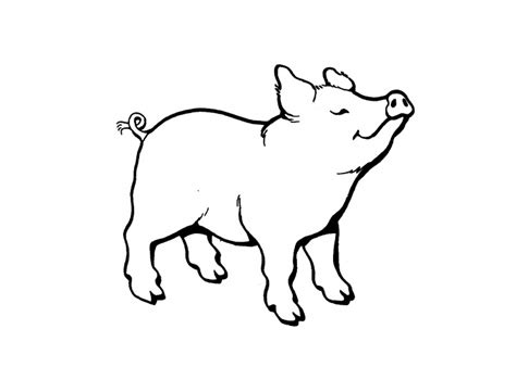 pigs coloring pages coloring pages