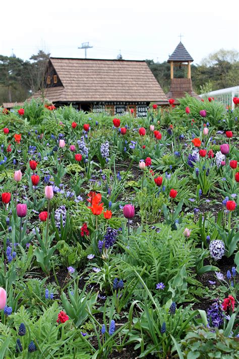 A So So Dutch Floriade Garden Housecalls