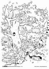 Tiere Wald Guckes sketch template