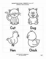 Animals Flashcards Preschool Followers 4k sketch template