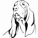 Hound Basset Coloring Dog Drawing Decal Vinyl Wall Stickers Reflective 3cm Sticker Drawings Printable Styling Decoration Truck Sketch Getdrawings S1 sketch template