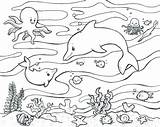 Sea Pages Coloring Creatures Deep Getcolorings Underwater Color sketch template