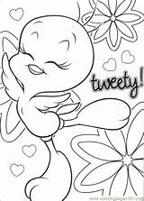 Tweety Coloring Pages Bird Getcolorings sketch template