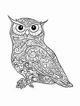 Coloring Owl Pages Adults Printable Adult sketch template