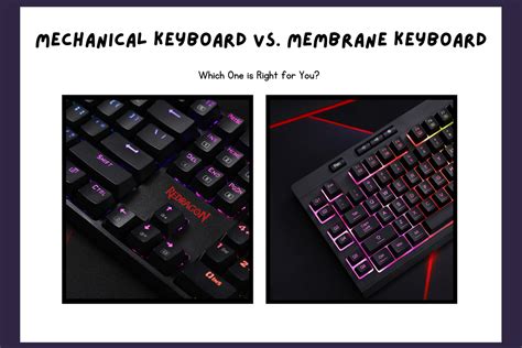 mechanical keyboard  membrane keyboard