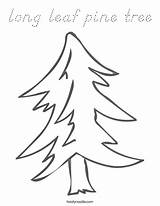 Coloring Pine Tree Leaf Long Favorites Login Add sketch template
