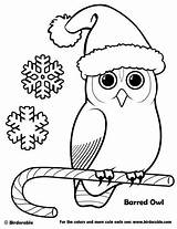 Coloring Pages Owl Christmas Birdorable Printable Cute Dibujos Navidad Owls Winter Kids Holiday Birds Bird Barred Cartoon Print Book Origami sketch template