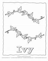 Ivy Coloring Leaf Template Pages Leaves Printable String Simple Drawings Printout Designlooter 792px 03kb Library Clipart Popular Line sketch template