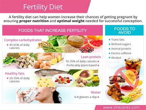 fertility diet shecares