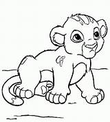 Lion Coloring Pages Simba King Baby Cub Disney Choose Board Printable sketch template