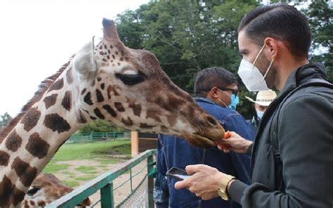 cuanto cuesta la entrada al zoologico de zacango en