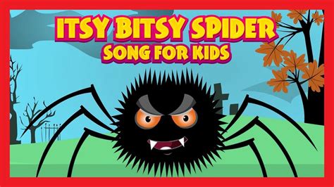 itsy bitsy spider song  kids  hour nursery rhymes  kids
