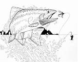 Trout Coloring Fishing Fly Drawing Rainbow Pen Adult Manly Ink Pages Template sketch template