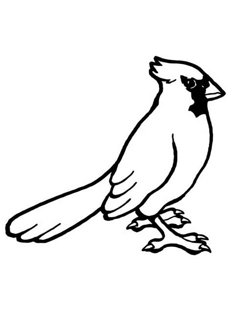 fred bird   st louis cardinals  coloring pages