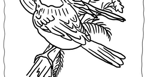 birds  winter coloring pages