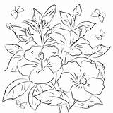 Hibiscus Puerto Rican Flower Supercoloring sketch template