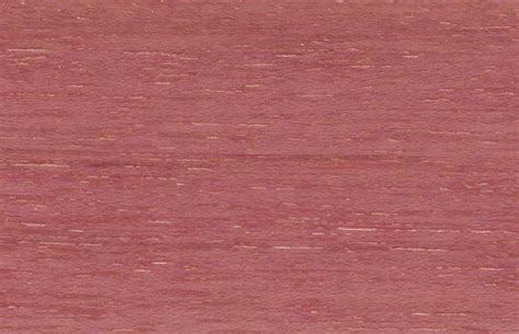 palo rosa arastor