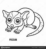 Possum Coloring Opossum Drawing Children Pages Colouring Australian Book Vector Printable Stock Drawings Getcolorings Animals Getdrawings Chance Last Color Paintingvalley sketch template