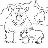 Rhino Coloring Baby Pages Print Colouring Printable Stodge sketch template