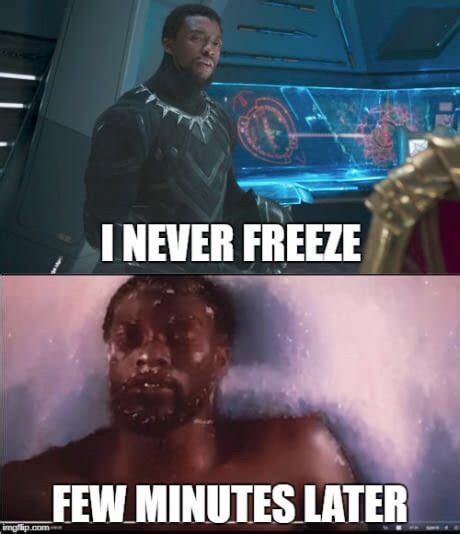 50 Hilarious Black Panther Memes That Only The Real Fans