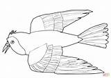 Bird Red Coloring Do Pages Albatross Printable Drawing Color Print Getcolorings Sheet Getdrawings sketch template
