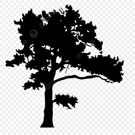 watercolor pine tree silhouette png transparent pine tree silhouette picture tree drawing