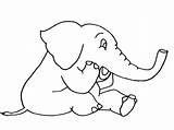 Elephants Elefantes Aprenden Divierten Juegan sketch template