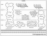 Clouds Types Pages Coloring Atmosphere Color Printable Online Coloringpagesonly sketch template