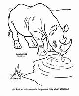 Coloring Rinoceronte Rhino Rhinoceros Miracle Coloringhome Honkingdonkey sketch template