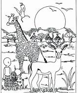Coloring Pages Africa African Tree South Getdrawings Getcolorings Color Printable Colorings sketch template