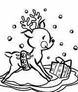 Reindeer Coloring Pages Christmas Cute Colouring Head Printable Getcolorings Color Print Getdrawings Library Clipart Popular sketch template