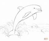 Coloring Delfino Delfin Wasser Salta Dolphin Jumping Supercoloring Delfini Ausdrucken Springt Ausmalbild Kostenlos Colorare sketch template