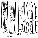 Bosque Colorir Bosques Arboles Pinos Desenhos Haz sketch template