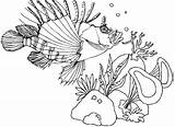 Coloring Lionfish Fauna Underwater Pages sketch template