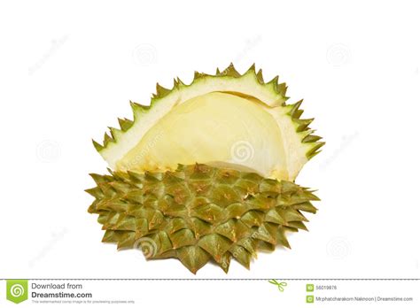 king  fruits durian isolated  white background stock