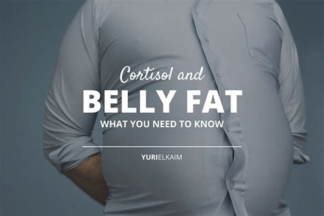 what you didn t know about cortisol and belly fat but