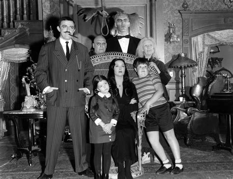 addams family   munsters   families    tv