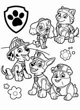 Paw Printable Printcolorcraft Pups Rocky sketch template