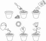 Planting Six sketch template