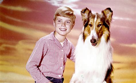 Lassie Tv Series Remembered By Actor Jon Provost