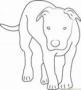 Coloring Dog Walking Coloringpages101 Pages sketch template