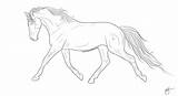 Warmblood Trotting Lineart Stable sketch template