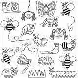 Coloring Insects Pages Insect Bug Colouring Sheets Color Bugs Animal Cute Crafts sketch template