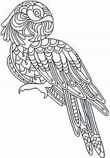 5x7 Parrots Deco Coloring Included Well sketch template