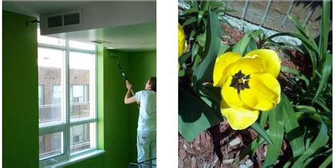 spring colours  inspiration  decorating  paint