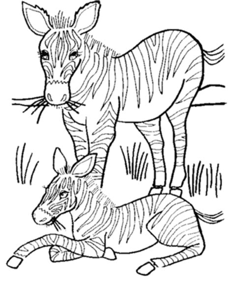 wild animal coloring page coloring home