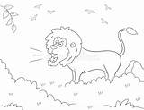 Lion Coloring Roaring Vectors sketch template