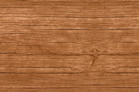 wood bark texture  design creative
